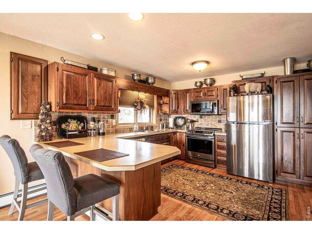 90 Mount Axtell Dr, Livermore, CO 80536