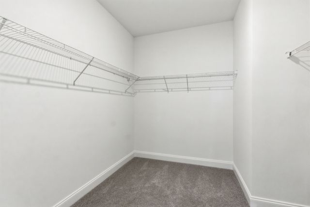 1146 June Wilde Ridge, Spring Hill, TN 37174
