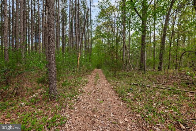 15570 DICKINSONS CORNER DR, King George, VA 22485
