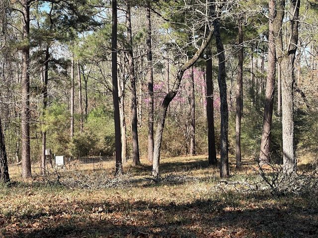 TBD County Road 207, Centerville, TX 75833