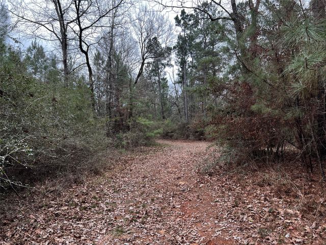 TBD County Road 207, Centerville, TX 75833