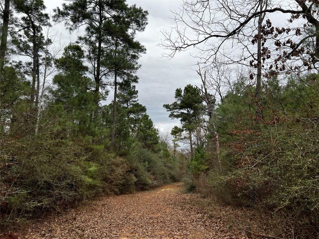 TBD County Road 207, Centerville, TX 75833