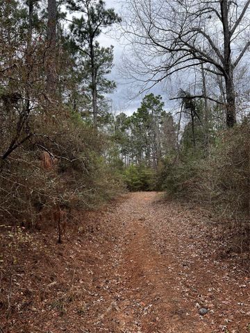 TBD County Road 207, Centerville, TX 75833