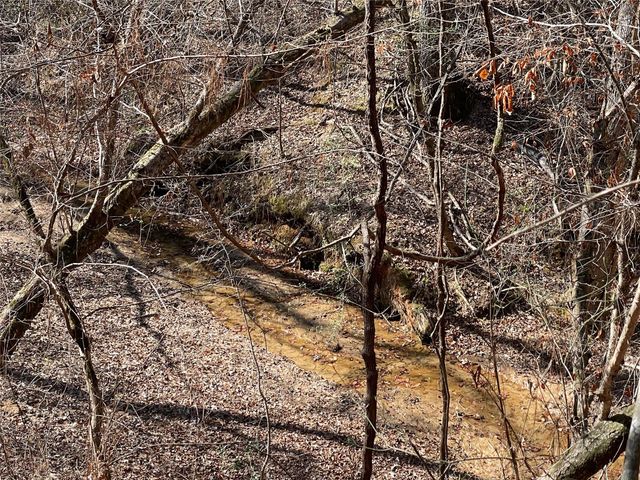 TBD County Road 207, Centerville, TX 75833