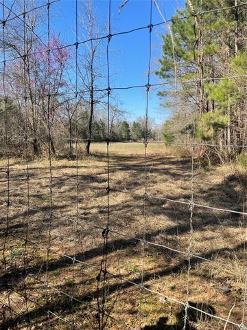 TBD County Road 207, Centerville, TX 75833