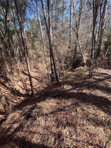 TBD County Road 207, Centerville, TX 75833