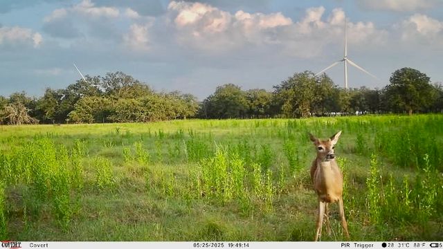 370 CR 240, Goldthwaite, TX 76844