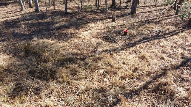 0 Rolling Hills Dr, Spencer, TN 38585