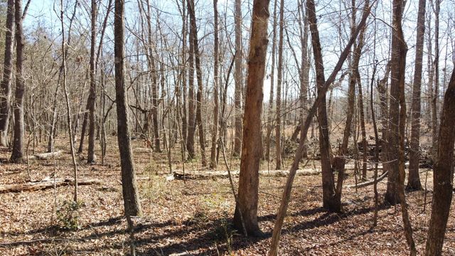 0 Rolling Hills Dr, Spencer, TN 38585