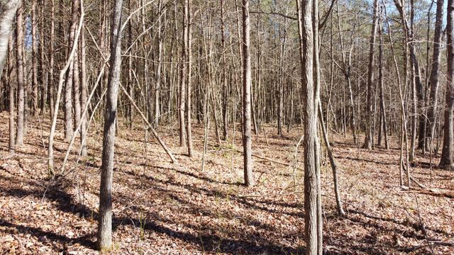 0 Rolling Hills Dr, Spencer, TN 38585