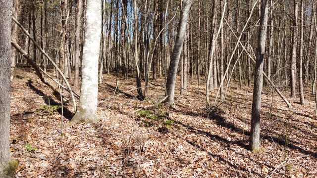 0 Rolling Hills Dr, Spencer, TN 38585