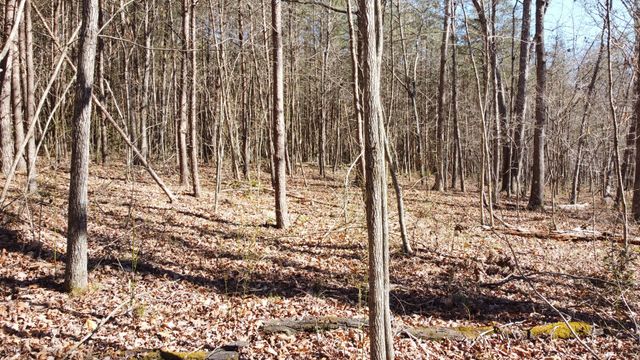 0 Rolling Hills Dr, Spencer, TN 38585