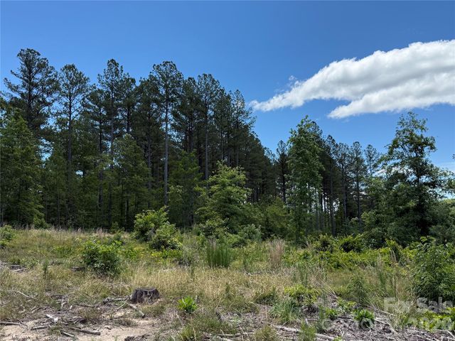 9999 Clark Road, Rutherfordton, NC 28139