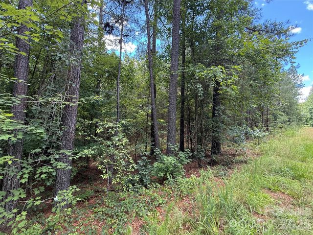 9999 Clark Road, Rutherfordton, NC 28139