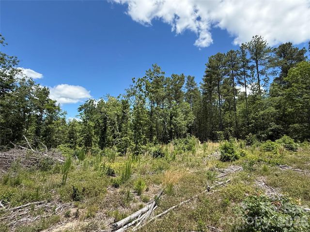 9999 Clark Road, Rutherfordton, NC 28139