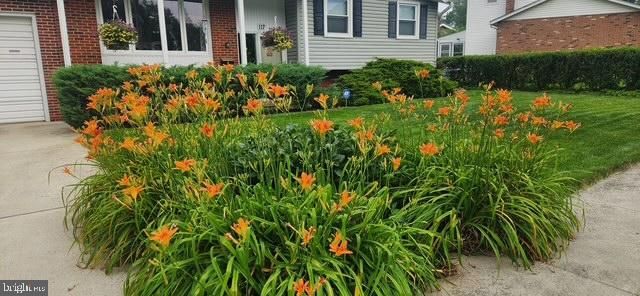 117 LARKSPUR DR, Newark, DE 19711