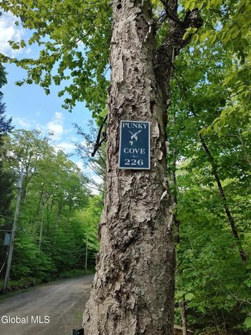 226 Sand Point Road, Caroga Lake, NY 12032