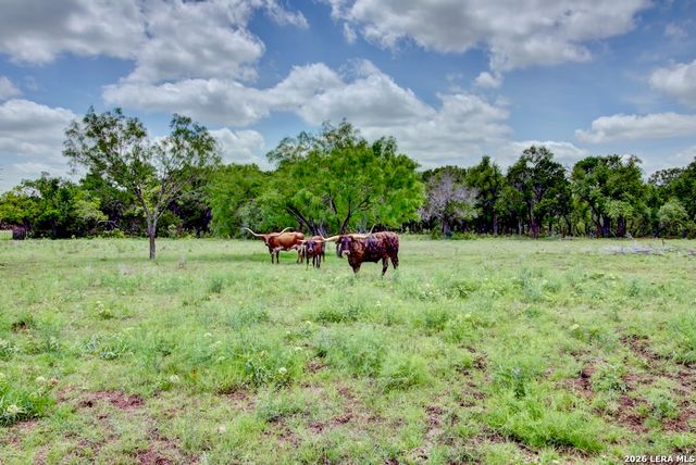 1007 Indigo Run, Bulverde, TX 78163