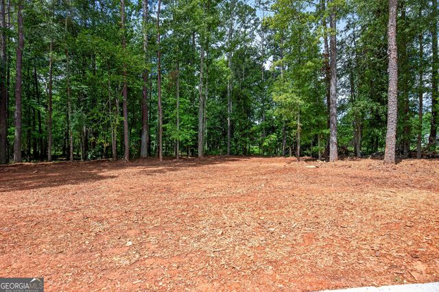 174 Rockhouse Road, Senoia, GA 30276