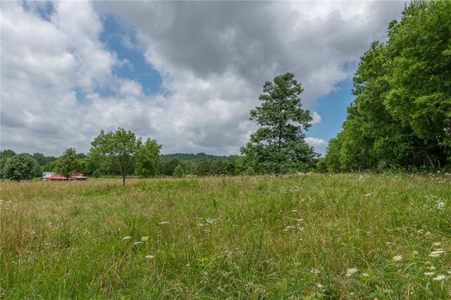 2403 Highway 202, Yellville, AR 72687
