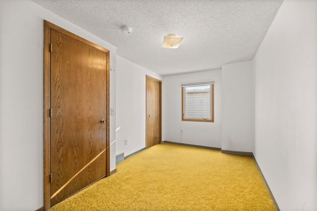 217 Beech Street, Chaska, MN 55318