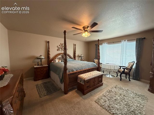 7319 Buffalo Prairie Court, Colorado Springs, CO 80915