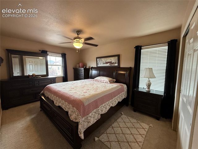 7319 Buffalo Prairie Court, Colorado Springs, CO 80915