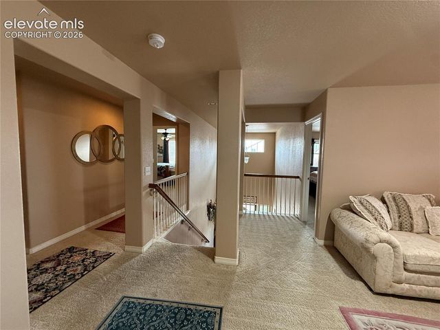 7319 Buffalo Prairie Court, Colorado Springs, CO 80915