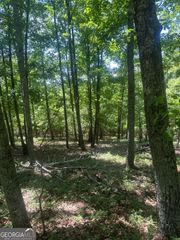 0 Owl Ridge Way, Jasper, GA 30143