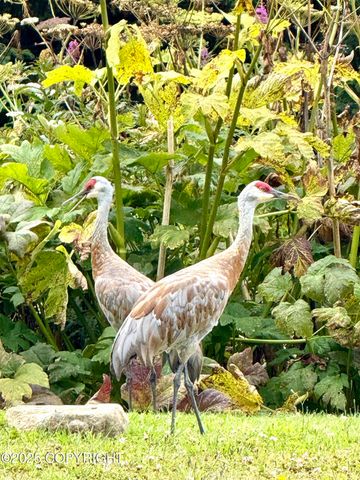 40935 Belnap Drive, Homer, AK 99603