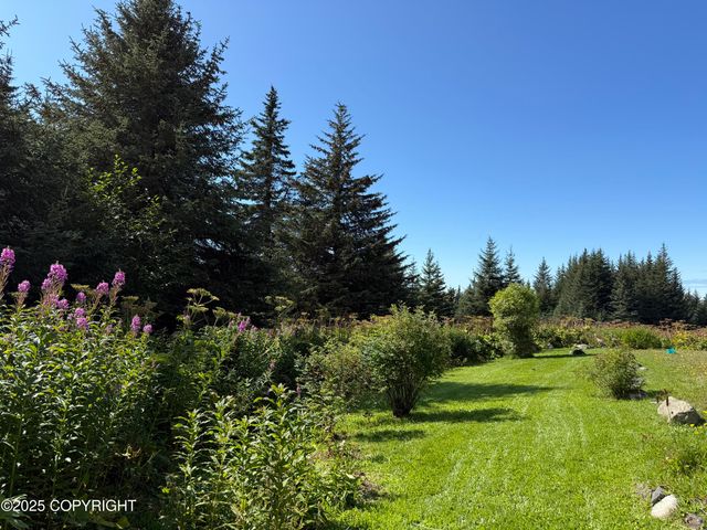 40935 Belnap Drive, Homer, AK 99603