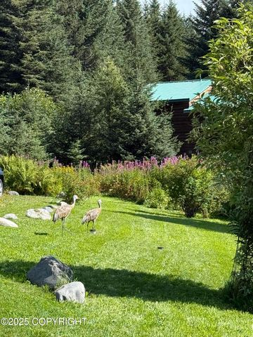 40935 Belnap Drive, Homer, AK 99603