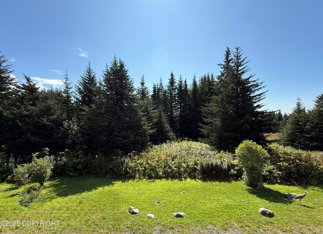 40935 Belnap Drive, Homer, AK 99603