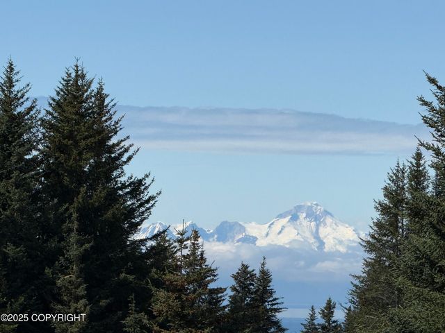 40935 Belnap Drive, Homer, AK 99603