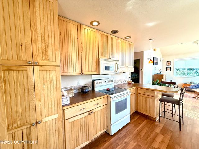 40935 Belnap Drive, Homer, AK 99603