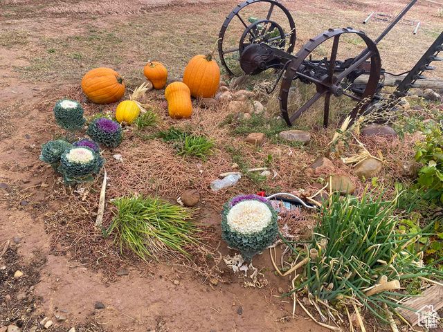 5141 W 940 S, Roosevelt, UT 84066