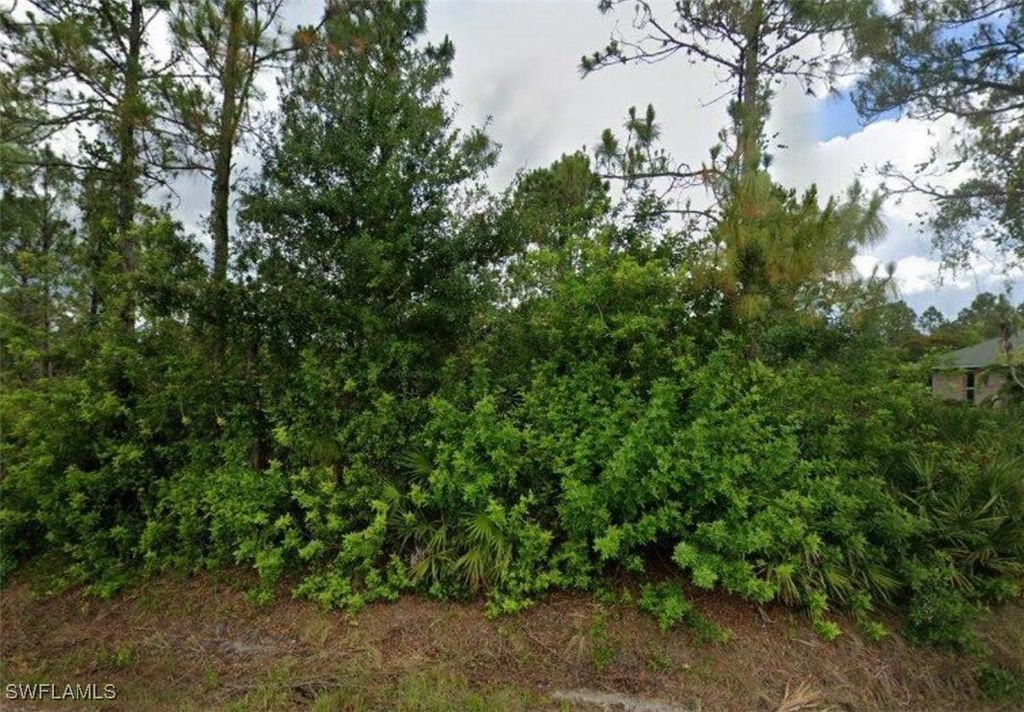 811 Clark AVE, Lehigh Acres, FL 33972