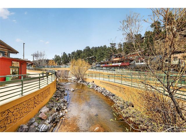 29210 Northstar Ln, Evergreen, CO 80439
