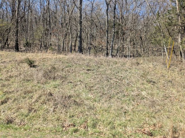 TBD Park Lane, Holiday Island, AR 72631