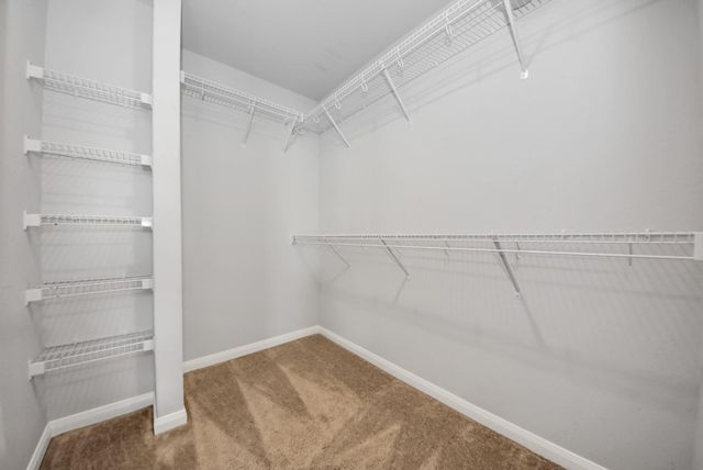 6259 El Topacio Drive, Houston, TX 77048