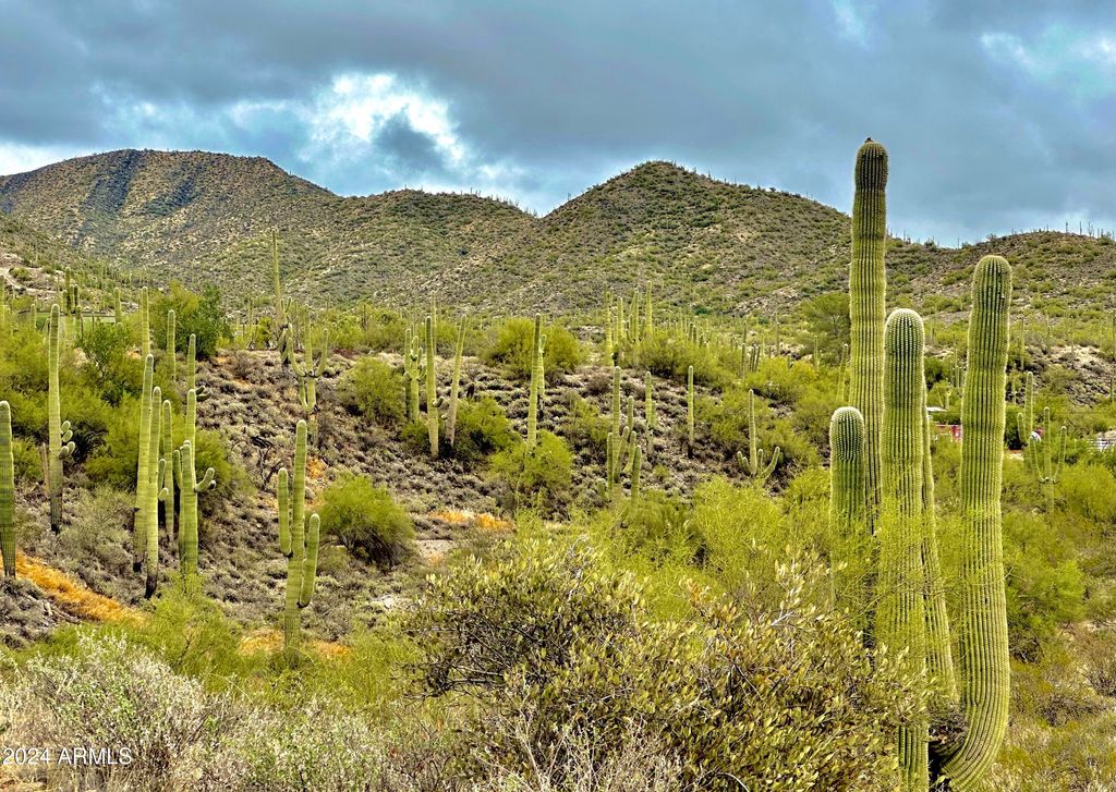 7XXX E HIGHLAND Road E -, Cave Creek, AZ 85331 — photo 5