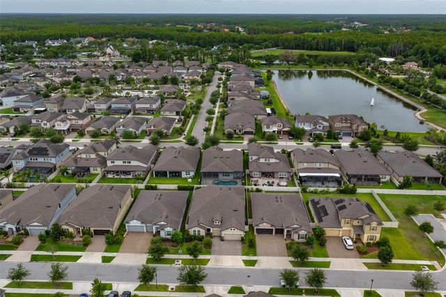 18824 ALDER GLEN DRIVE, Lutz, FL 33558