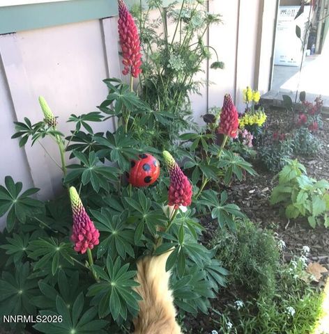 2475 Stine Way, Sparks, NV 89431