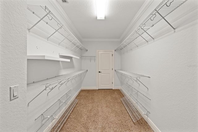 1828 CHEROKEE TRAIL, Lakeland, FL 33803