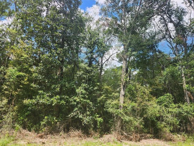 0 Idlewood Rdwy, New Caney, TX 77357