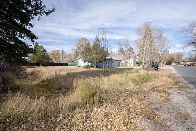 212 N Gunnison Avenue, Buena Vista, CO 81211