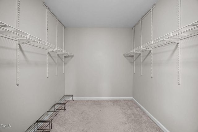 9212 Sayornis Court, Raleigh, NC 27615