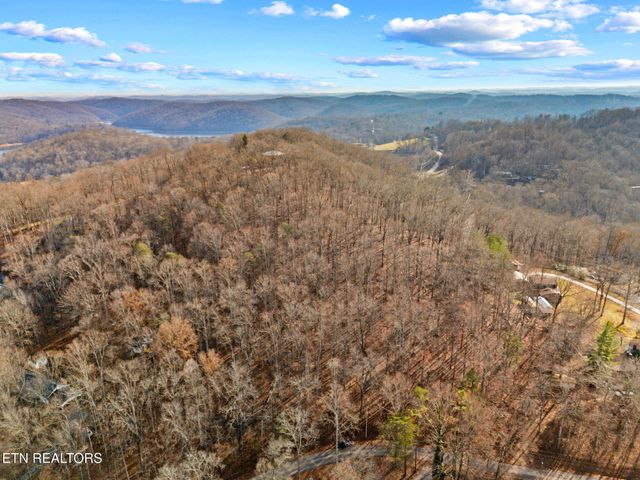 Mountain Lake Drive, Rocky Top, TN 37769