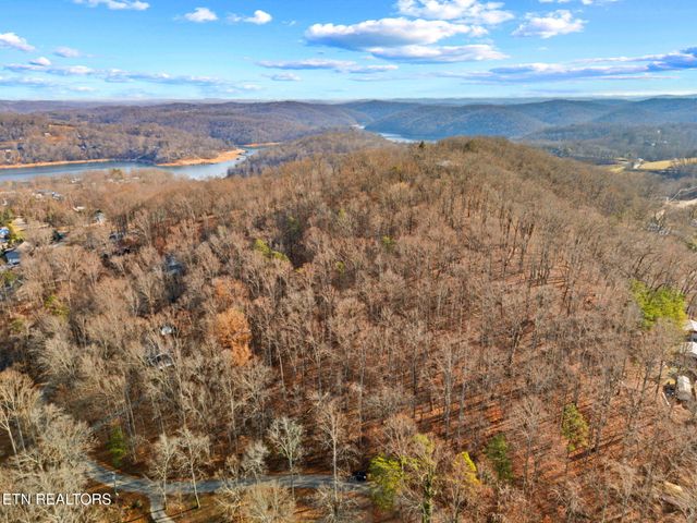 Mountain Lake Drive, Rocky Top, TN 37769