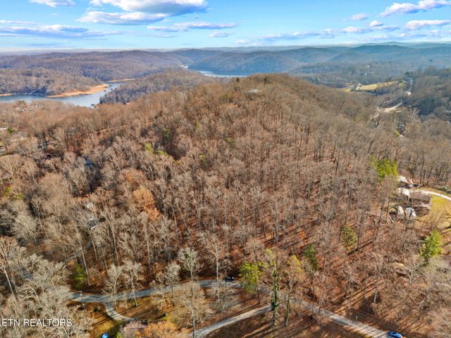 Mountain Lake Drive, Rocky Top, TN 37769